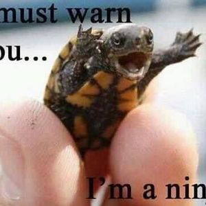 Meet your Posher, Danny